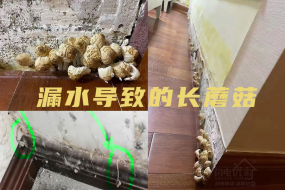 衛(wèi)生間漏水維修必看的防水知識(shí)科普！